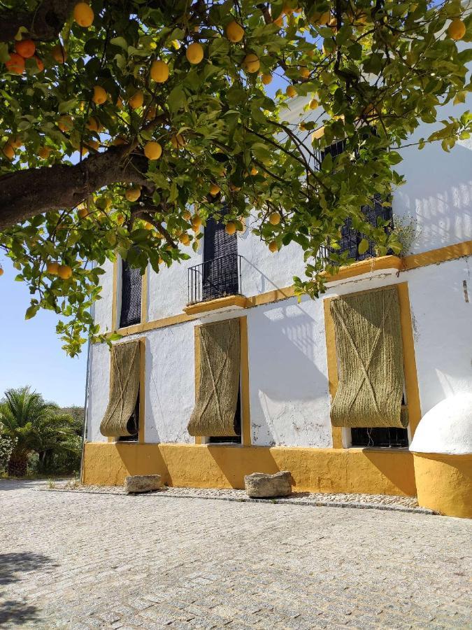 Finca Las Rosas De Santa Ana Villamartín Dış mekan fotoğraf