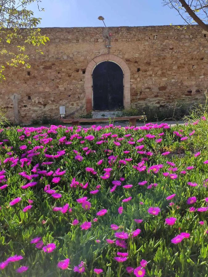 Finca Las Rosas De Santa Ana Villamartín Dış mekan fotoğraf